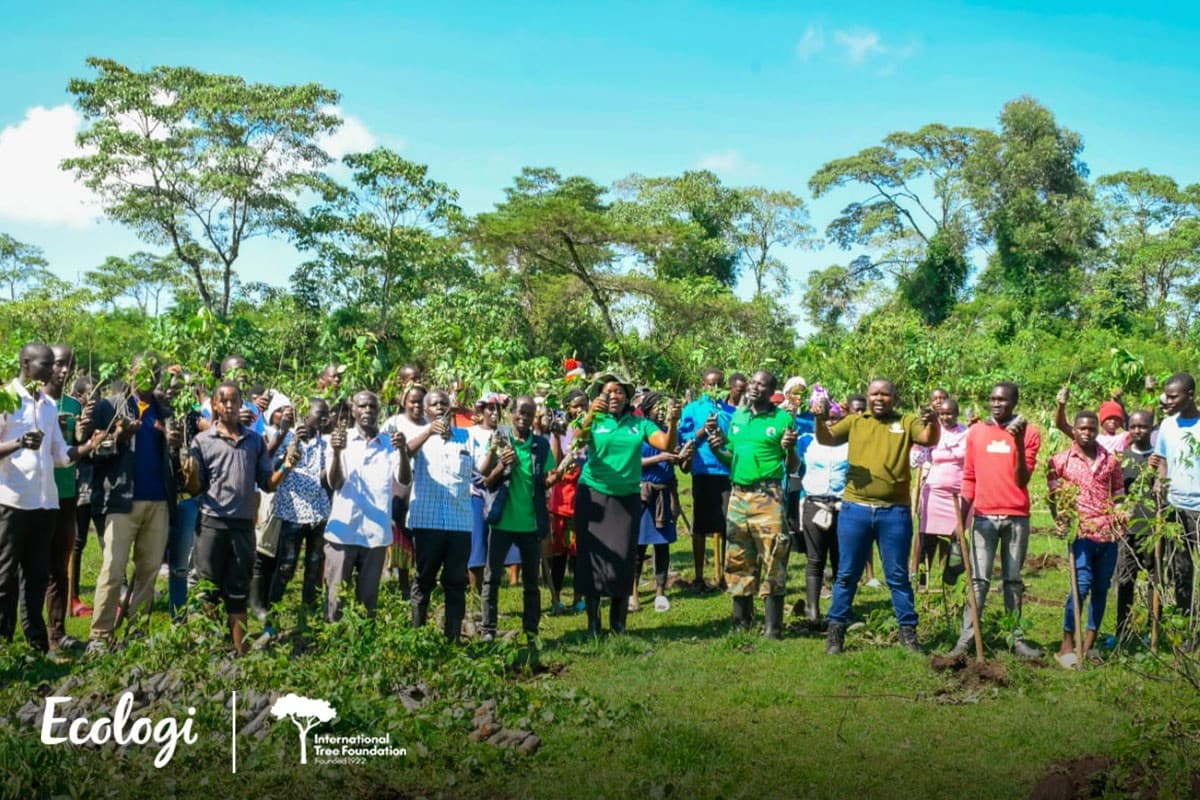 Restoring Kakamega Forest - Phase 4