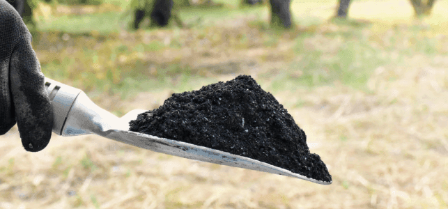 Wakefield Brunswick Biochar