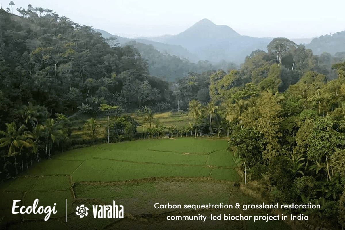 Carbon Sequestration and Grassland Restoration In India