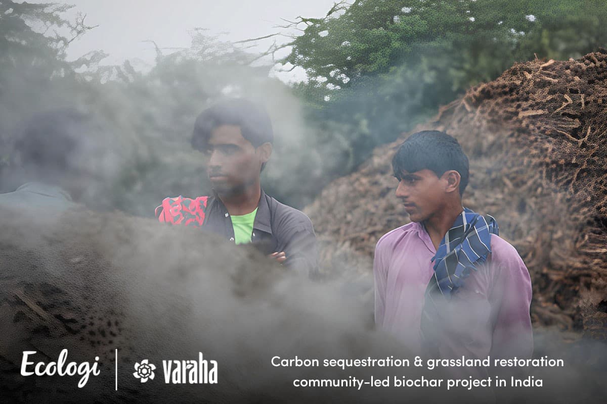 Carbon Sequestration and Grassland Restoration In India