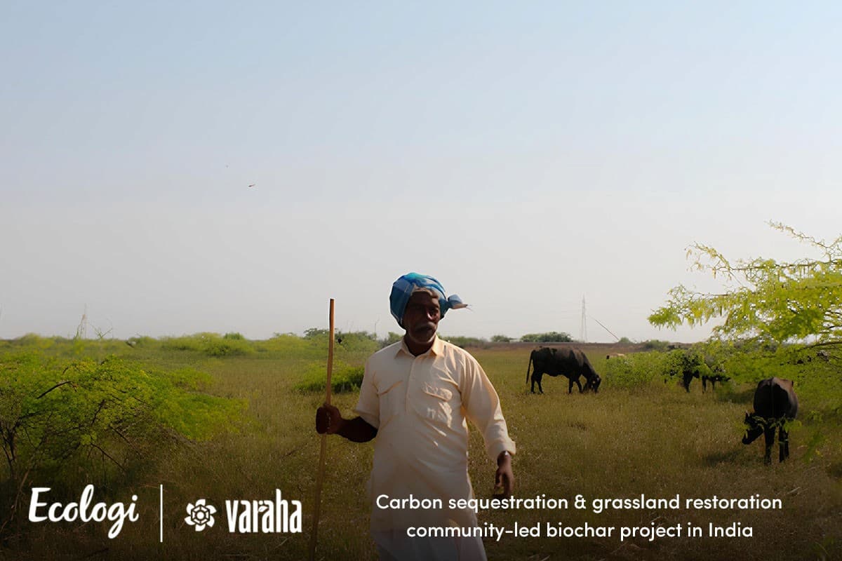 Carbon Sequestration and Grassland Restoration In India