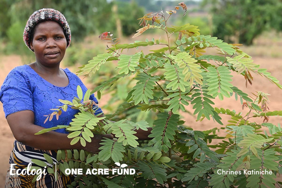 Supporting small-holder farmers in Malawi