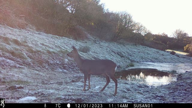 Wildlife spotted!