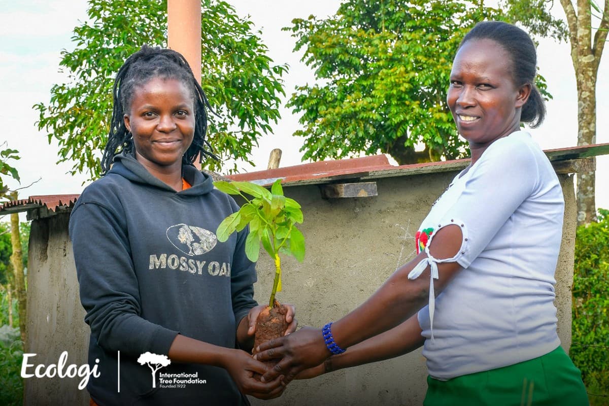 Protecting the Kakamega forest through local agroforestry