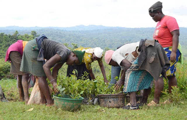 Kakamega update 2