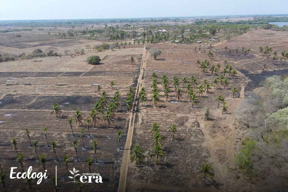 Restoring degraded land through agroforestry in Guatemala