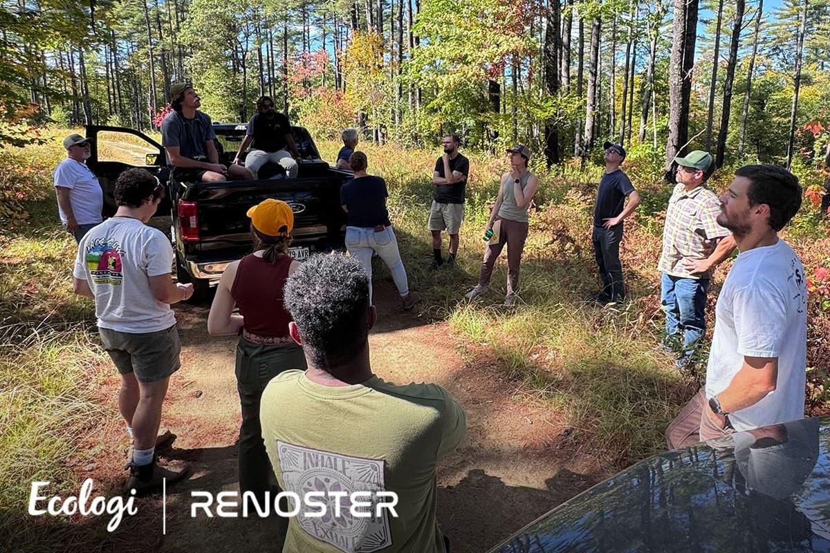 Improved Forest Management (IFM) in the United States