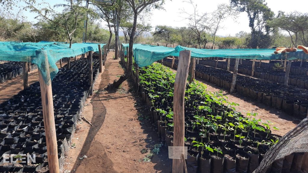 Changalane, Mozambique