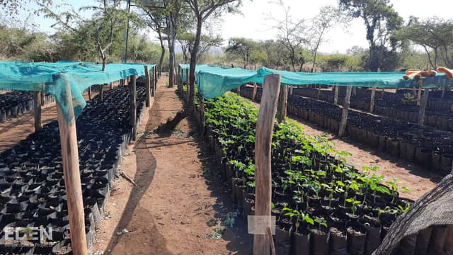 Changalane, Mozambique