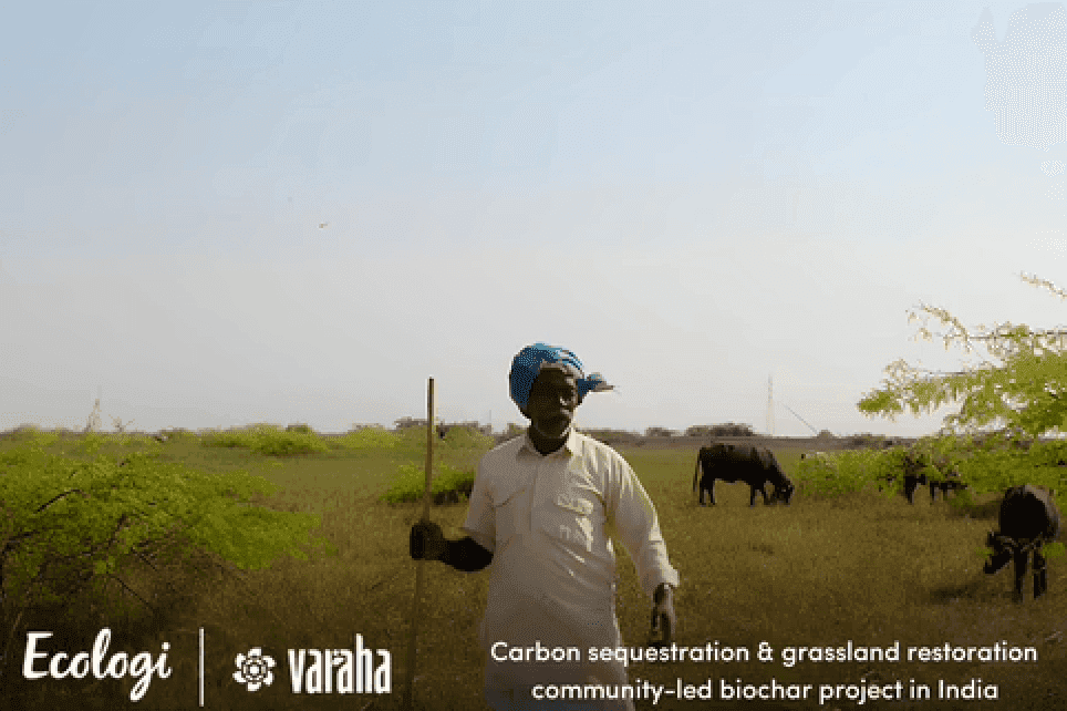 Biochar lab results