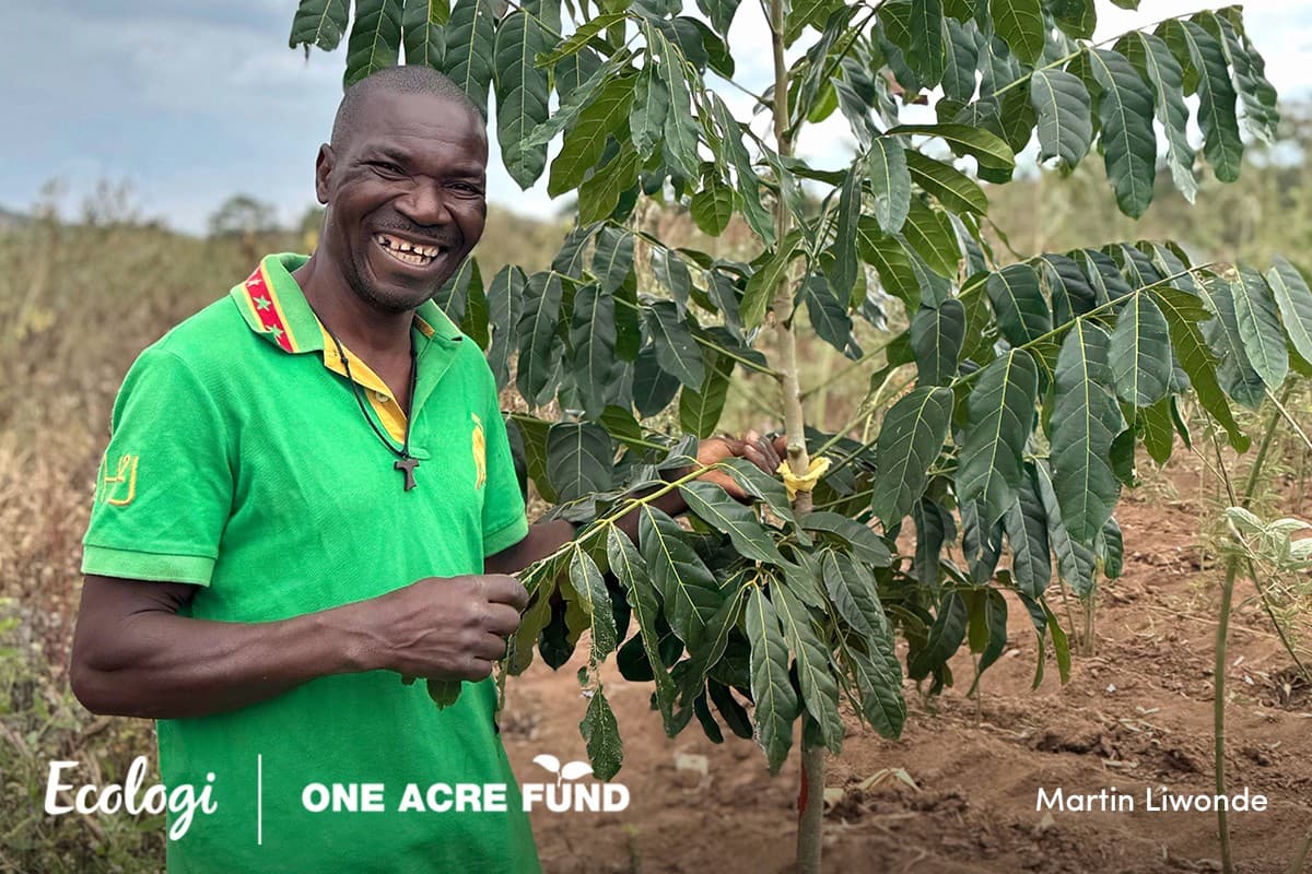 Supporting small-holder farmers in Malawi