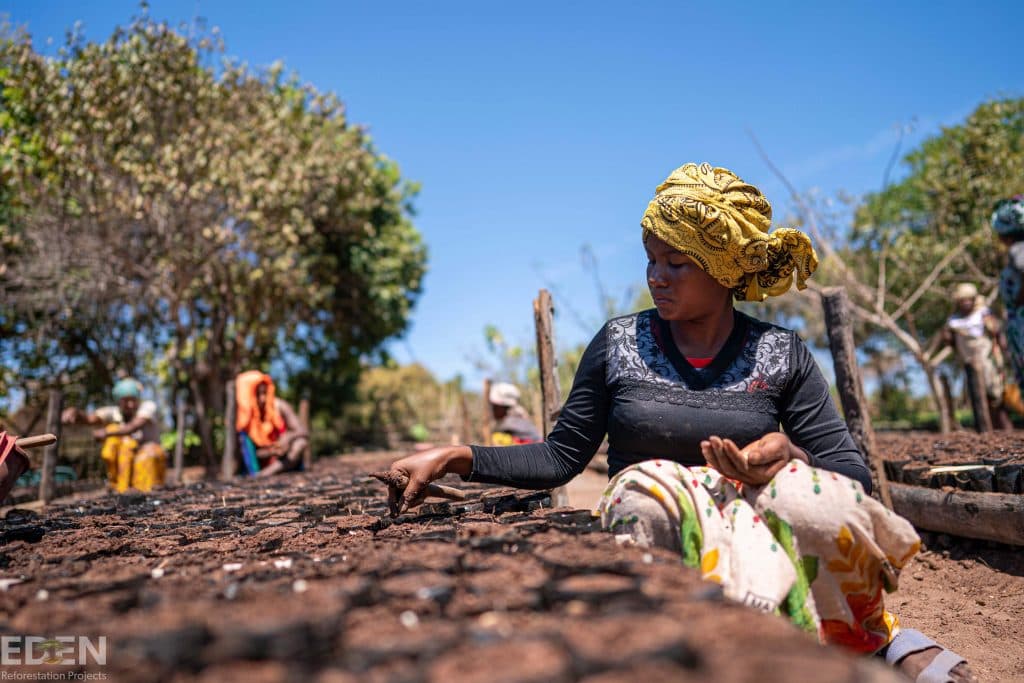 Madagascar planting
