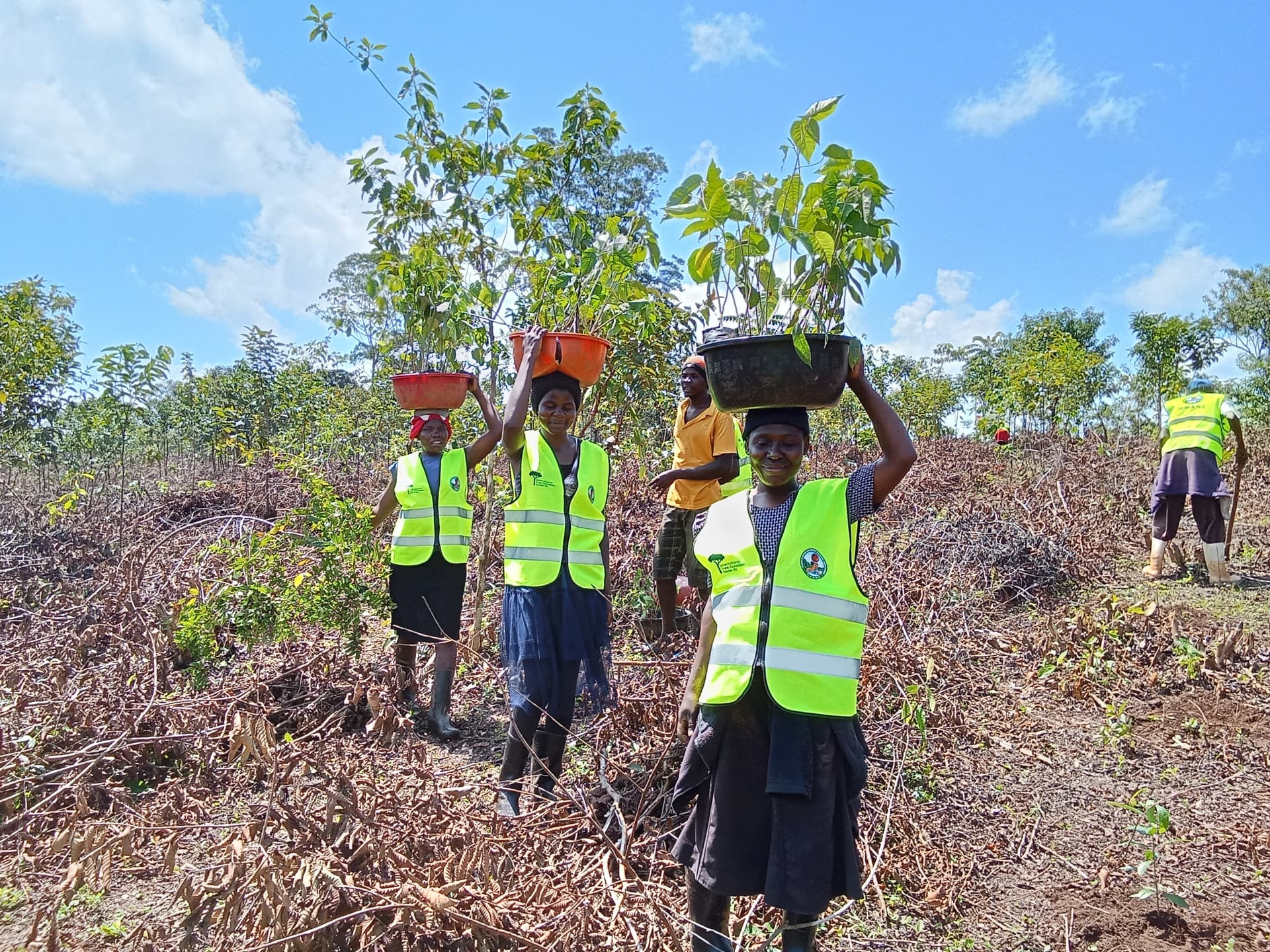 Kakamega update 3