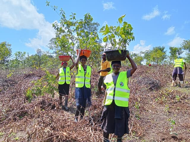 Kakamega update 3