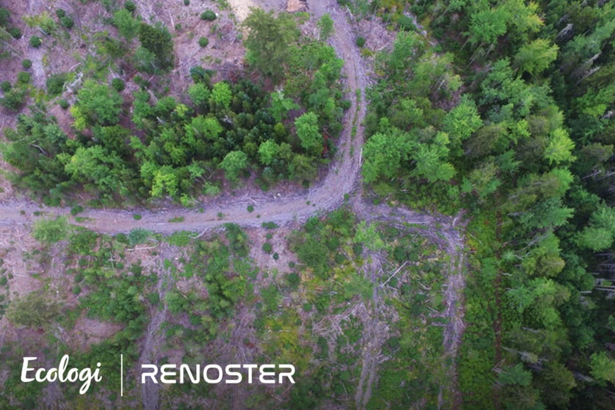 Improved Forest Management (IFM) in the United States