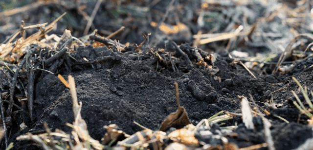 Wakefield Brunswick Biochar