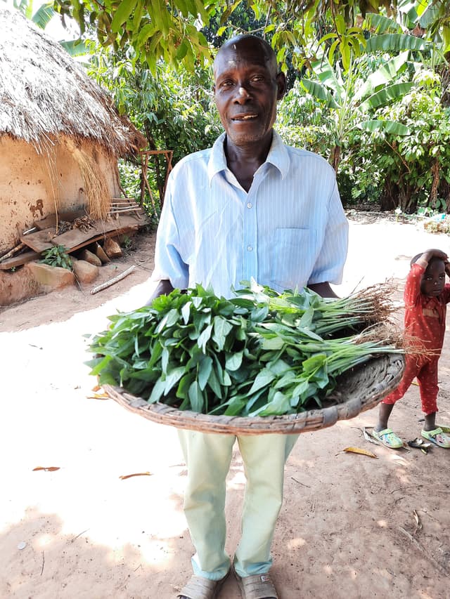 Harvesting diverse crops