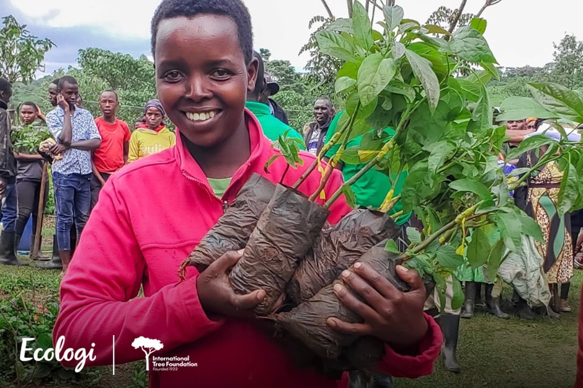 Protecting the Kakamega forest through local agroforestry