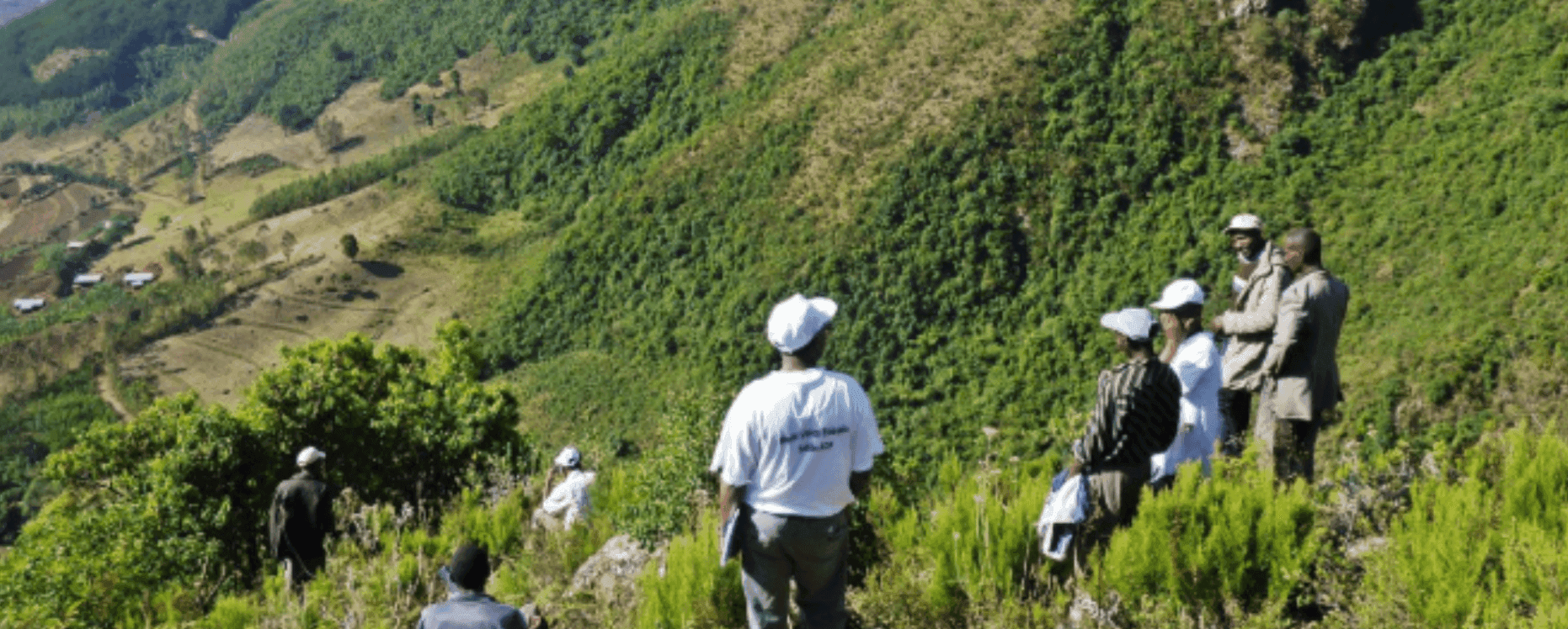 Restoring indigenous trees in the Ethiopian Montane woodlands