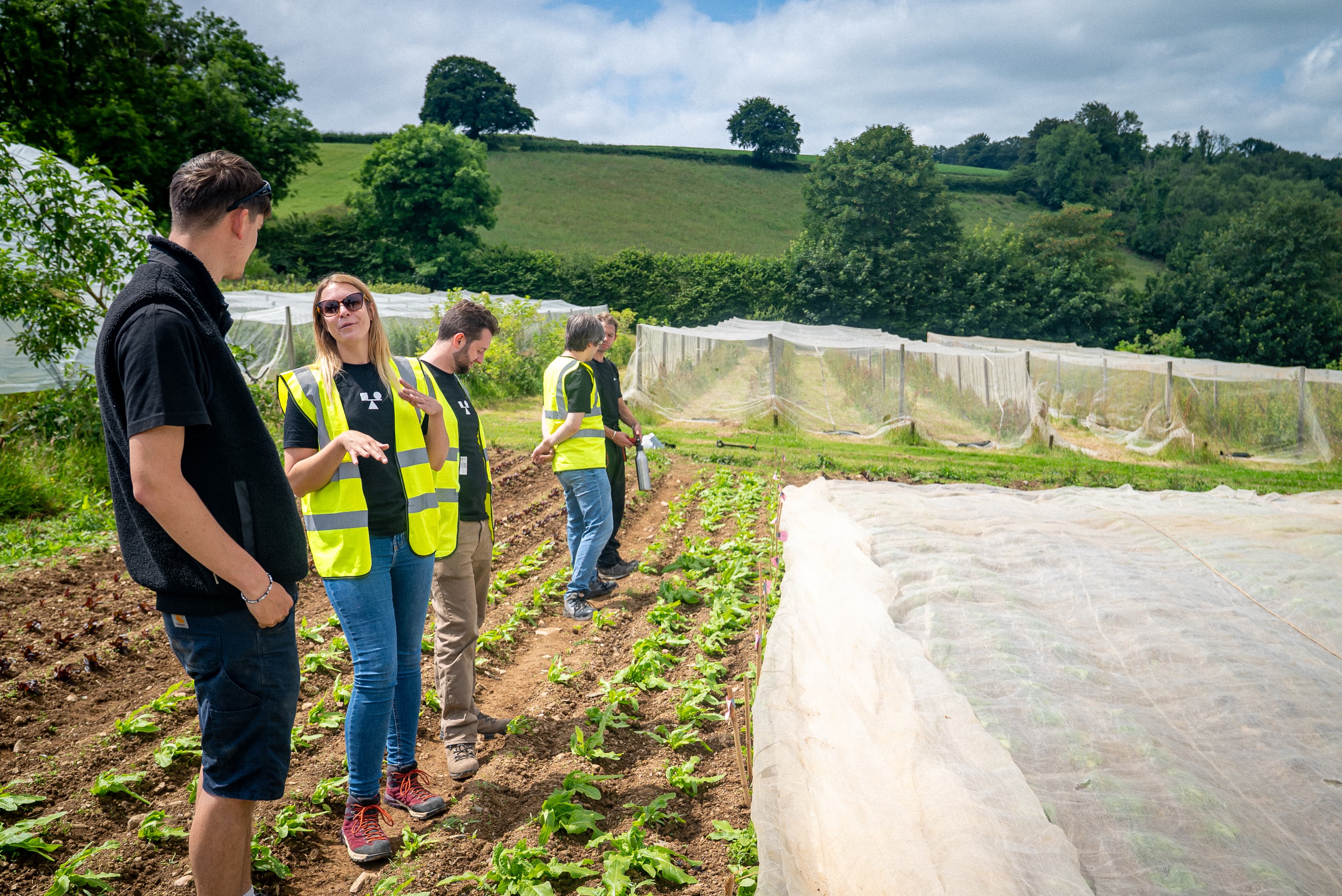Producing biochar in Cornwall