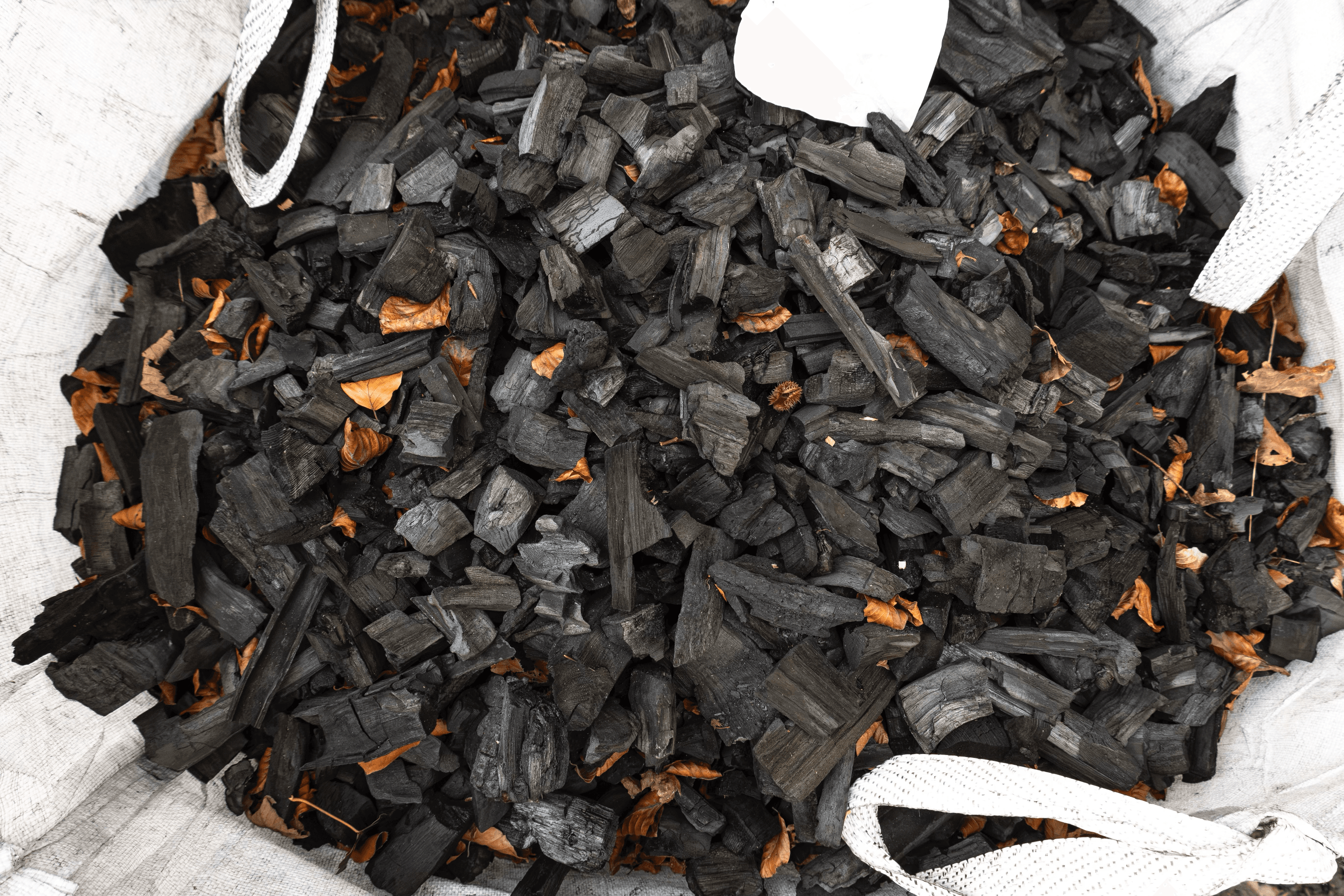 Producing biochar in Cornwall