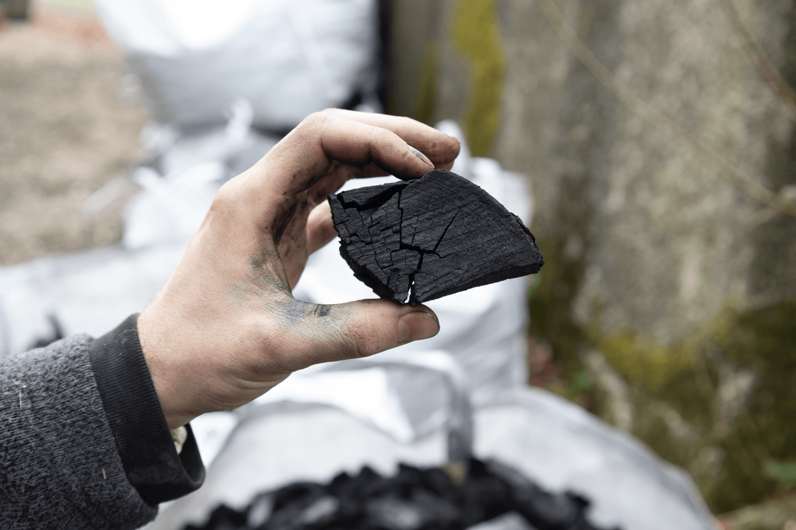 Producing biochar in Cornwall