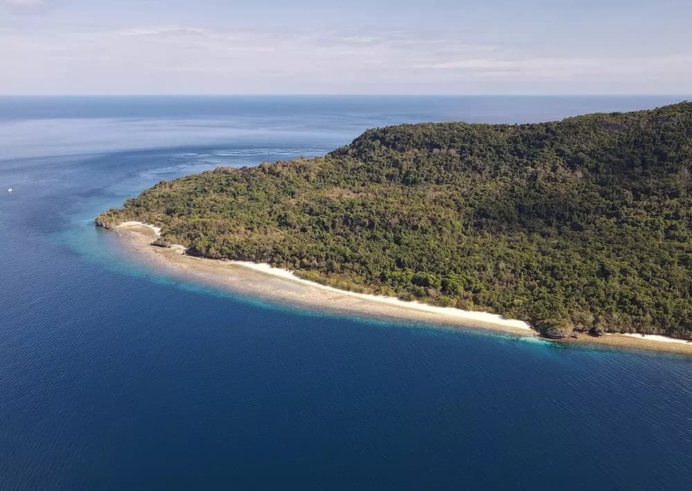 Protecting the coral triangle in Indonesia