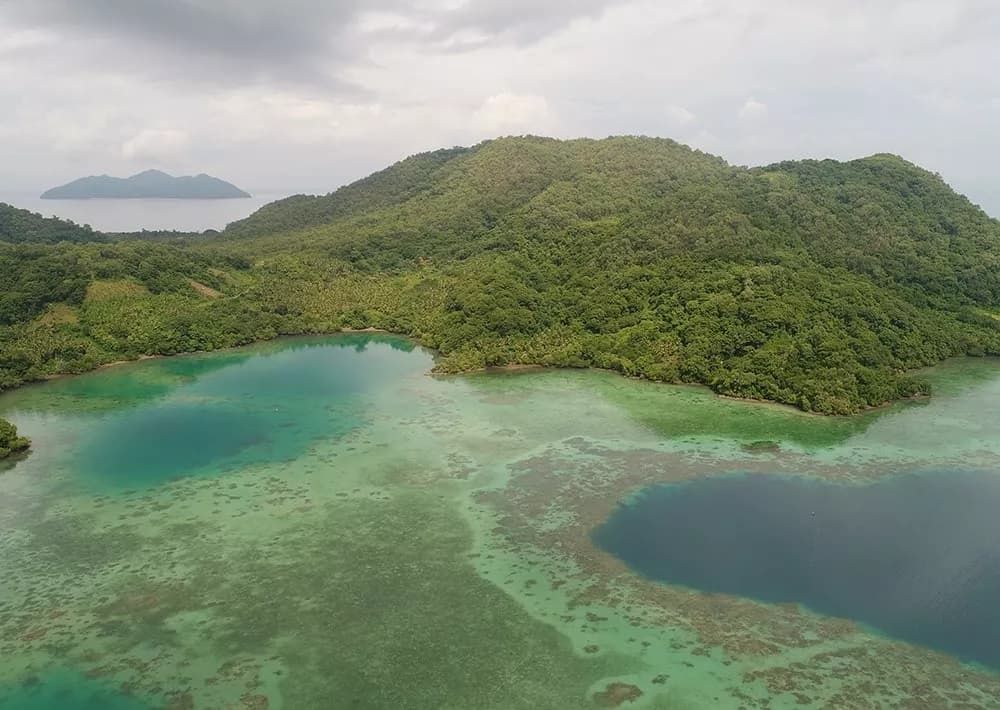 Protecting the coral triangle in Indonesia