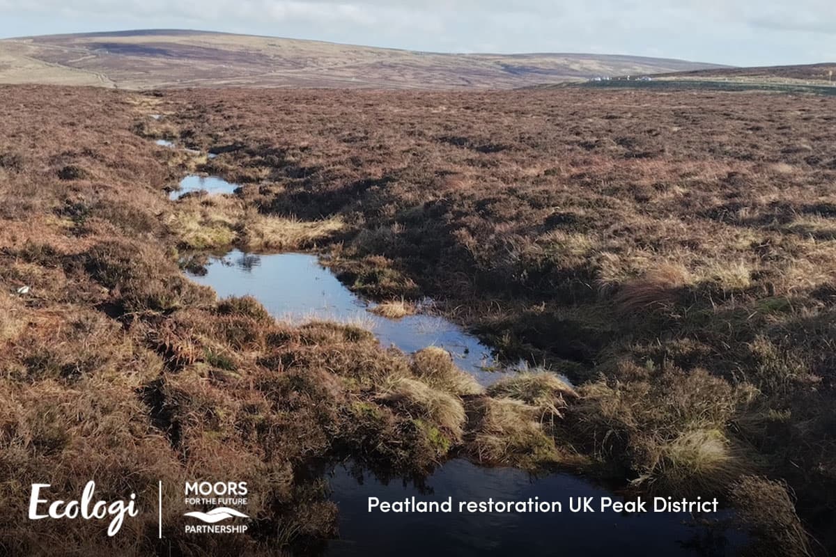 Over 100 volunteers support early 2026 restoration efforts