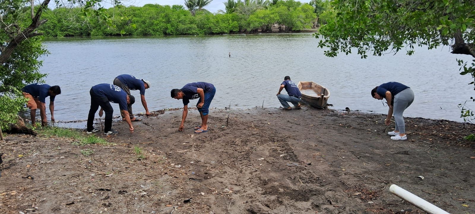 625,000 trees planted since January 2026