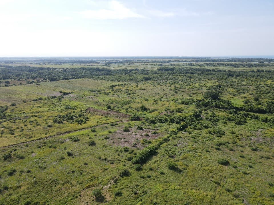 Forest restoration in Guatemala