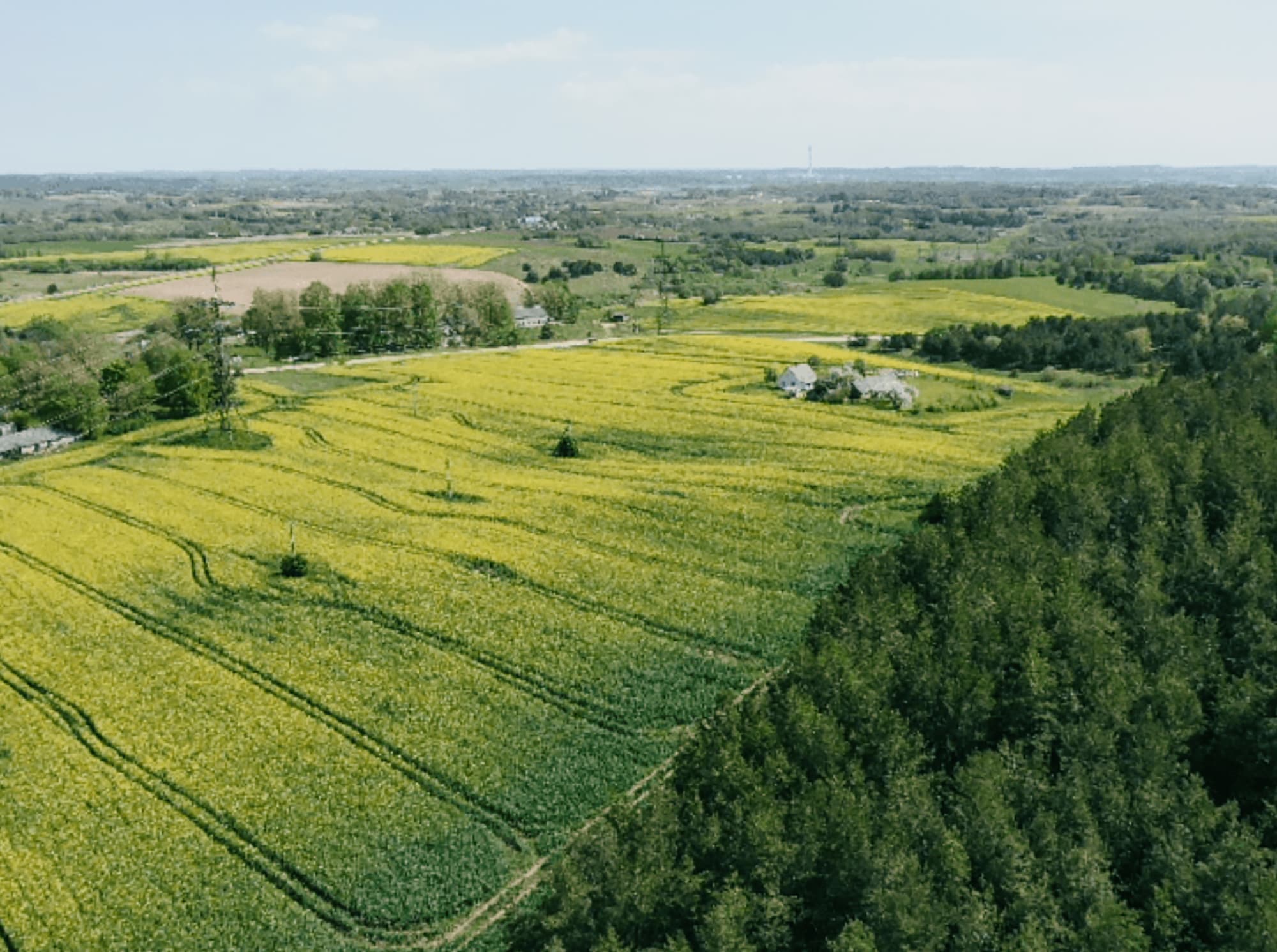The Carbon Farming Program of Lithuania