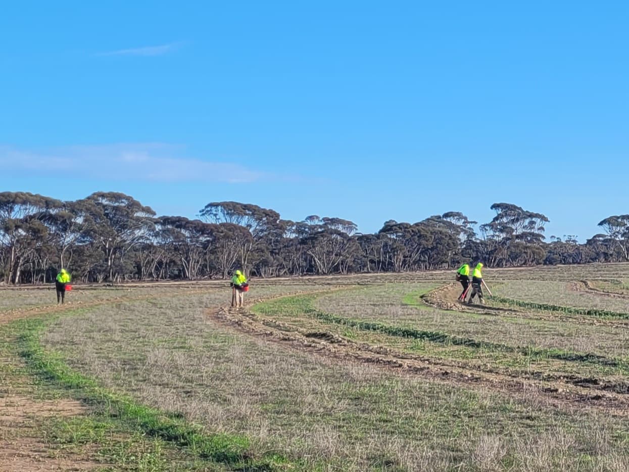 Restoring degraded ancestral land in Australia