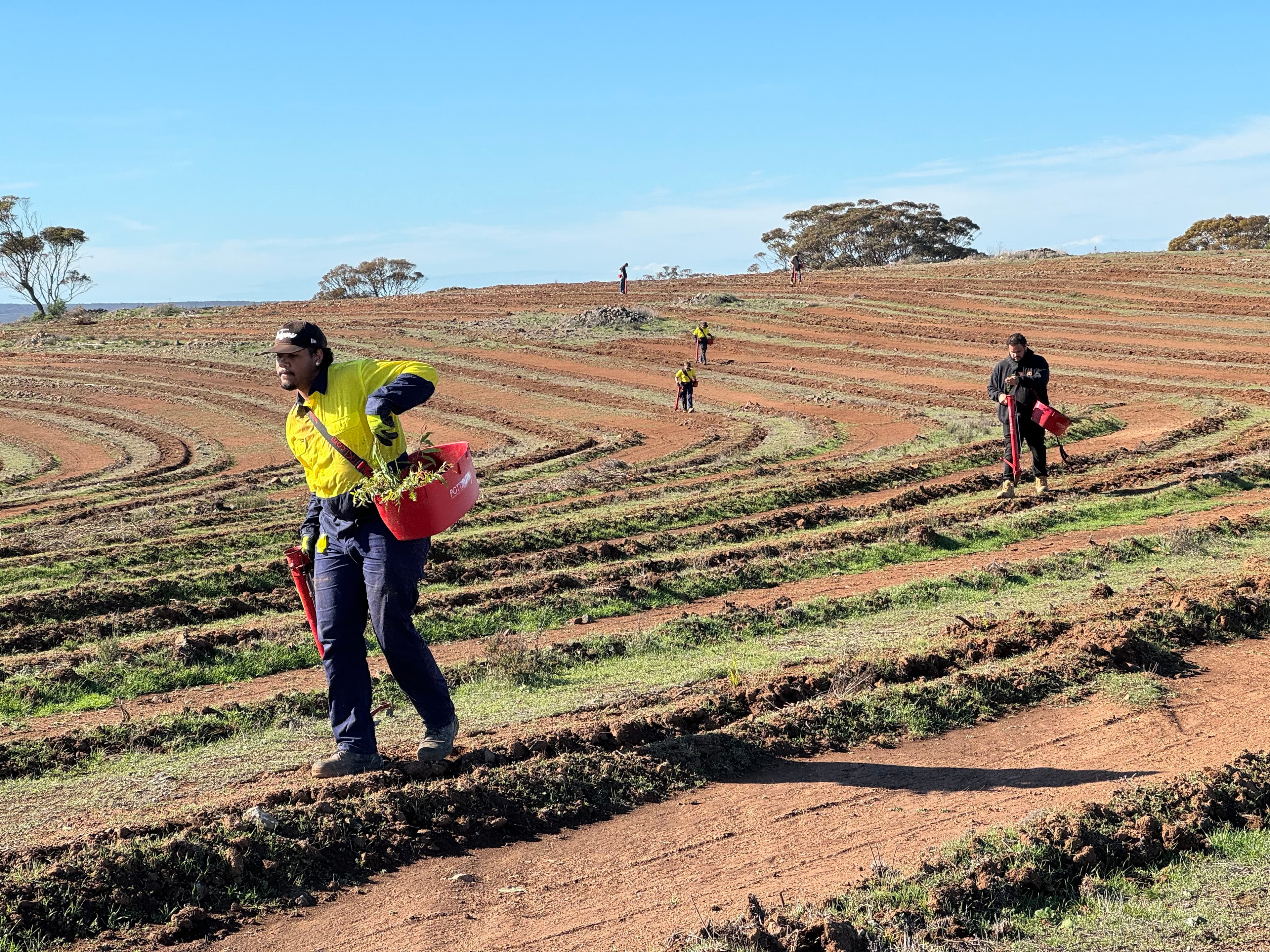 Restoring degraded ancestral land in Australia