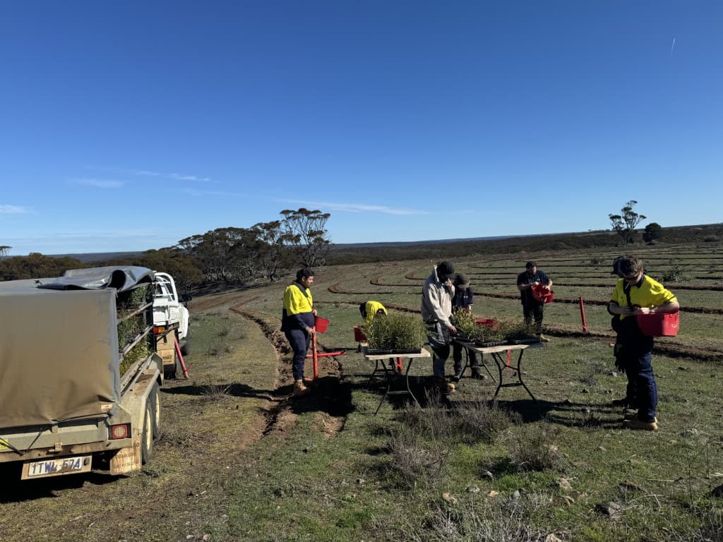 Restoring degraded ancestral land in Australia