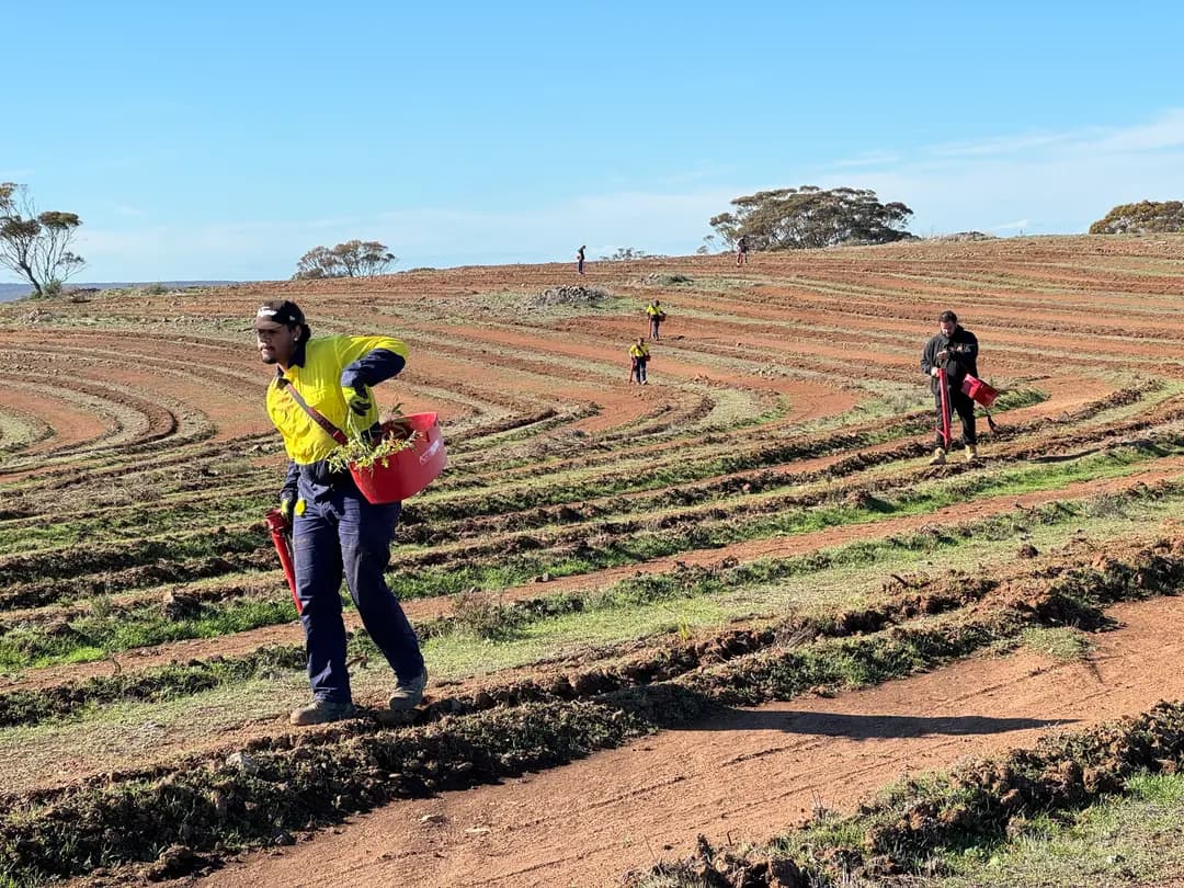 Over 6,000 trees supported