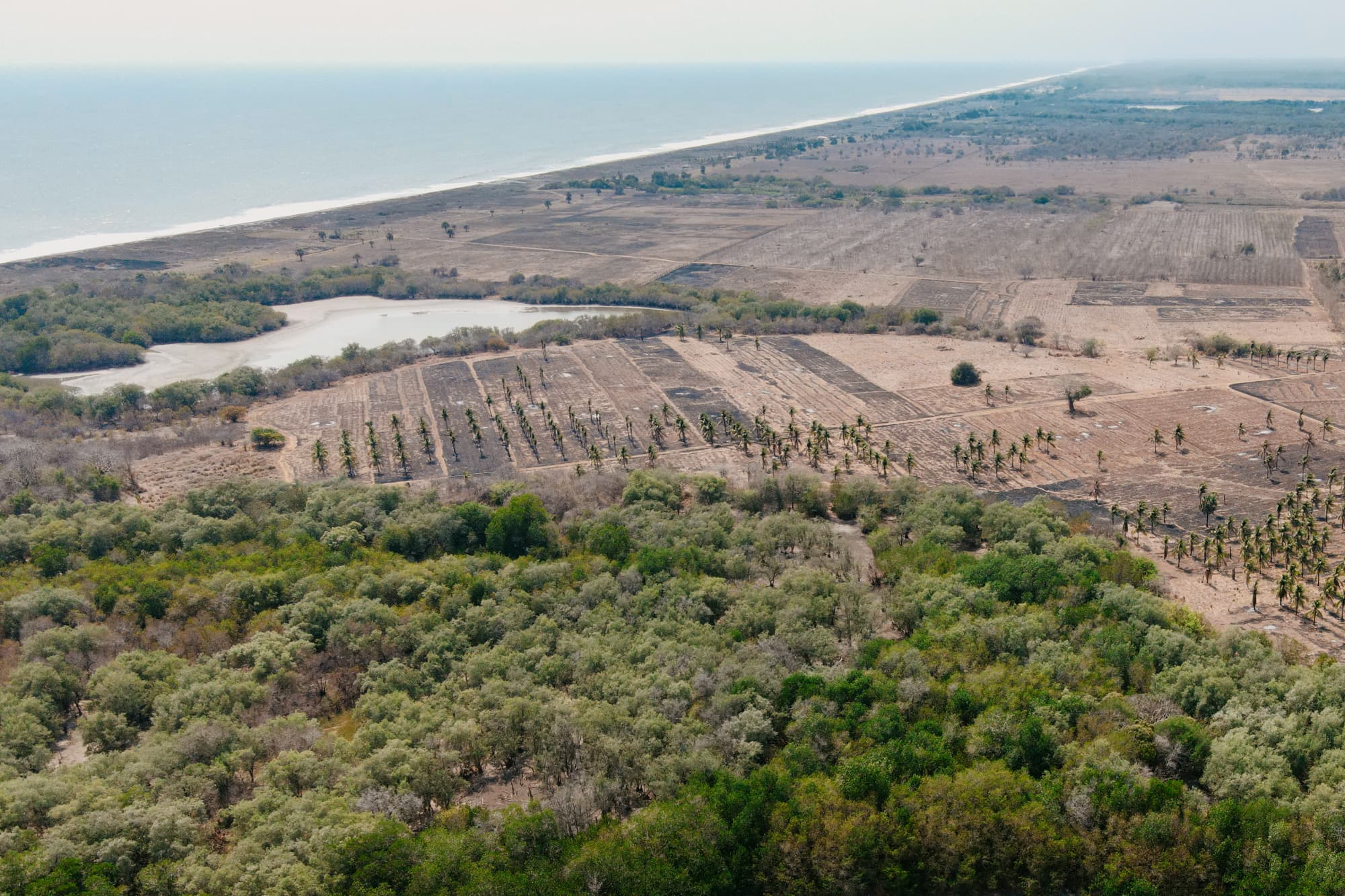 Restoring degraded land through agroforestry in Guatemala
