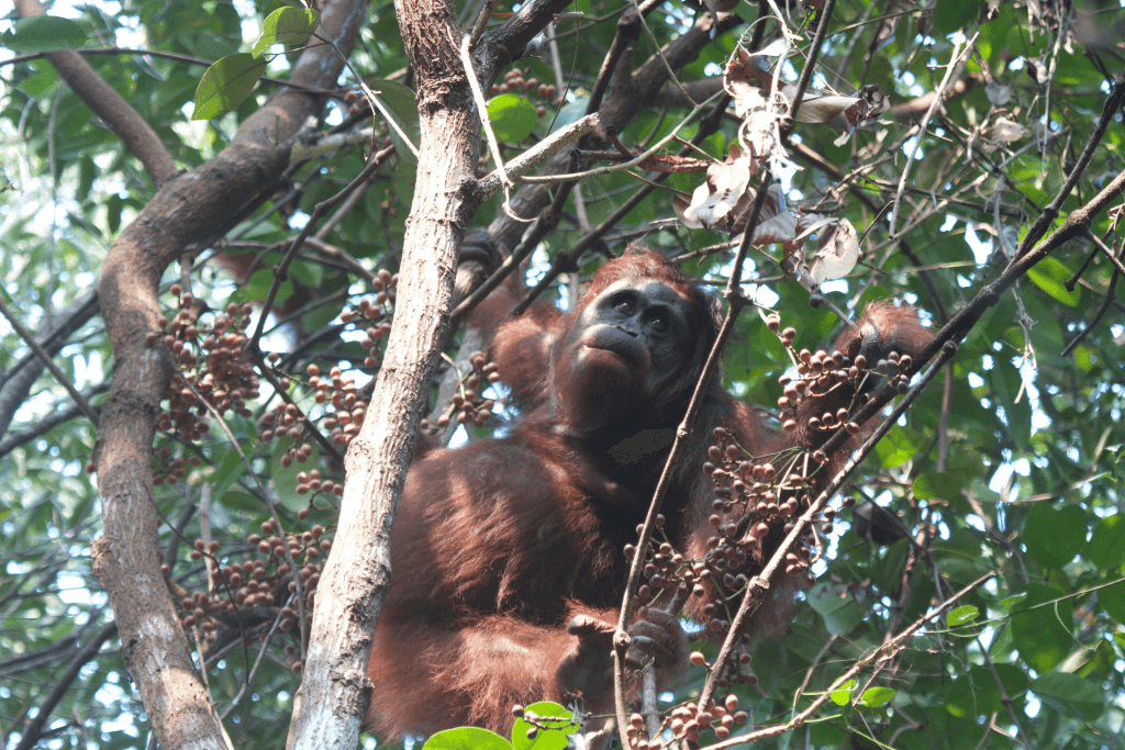 Biodiversity Spotlight