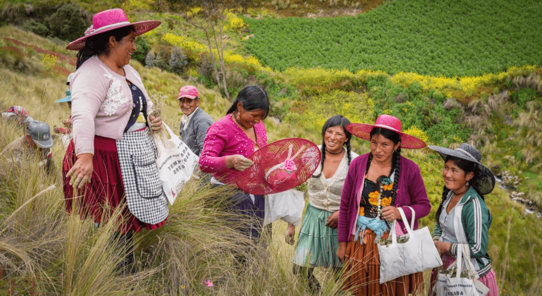 Quechua indigenous people restore Andean forests to protect Bolivia's water